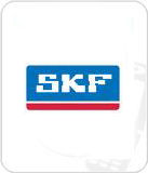 SKF Bearings