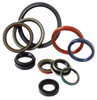 Oil Seals